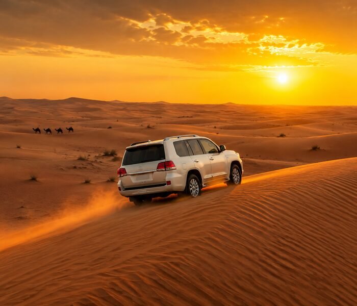 Dubai Desert Safari Guide: Shared, Private & Premium Options