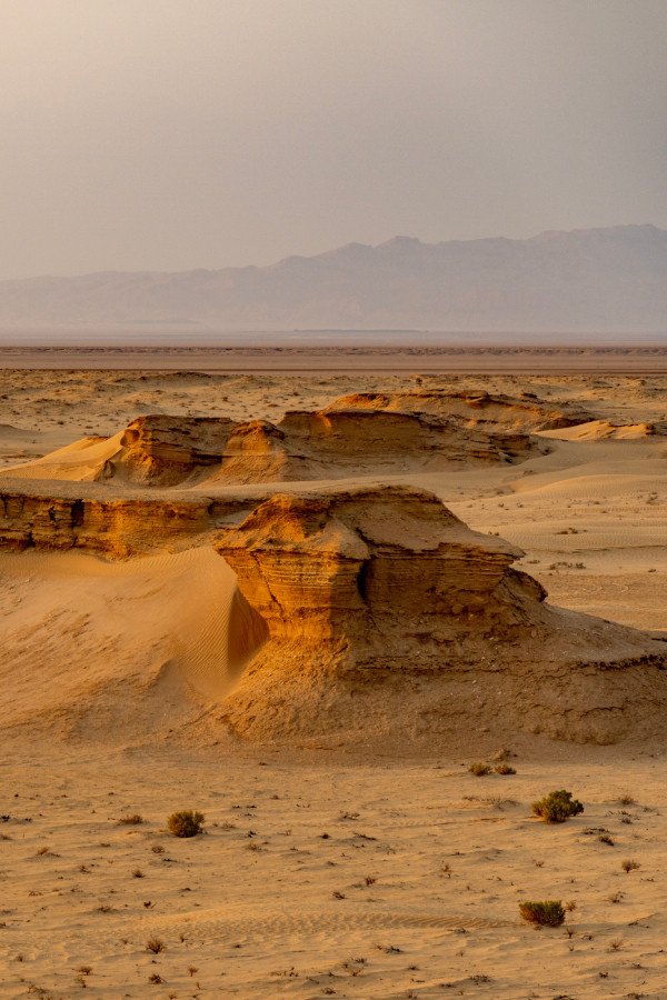 Desert Safaris