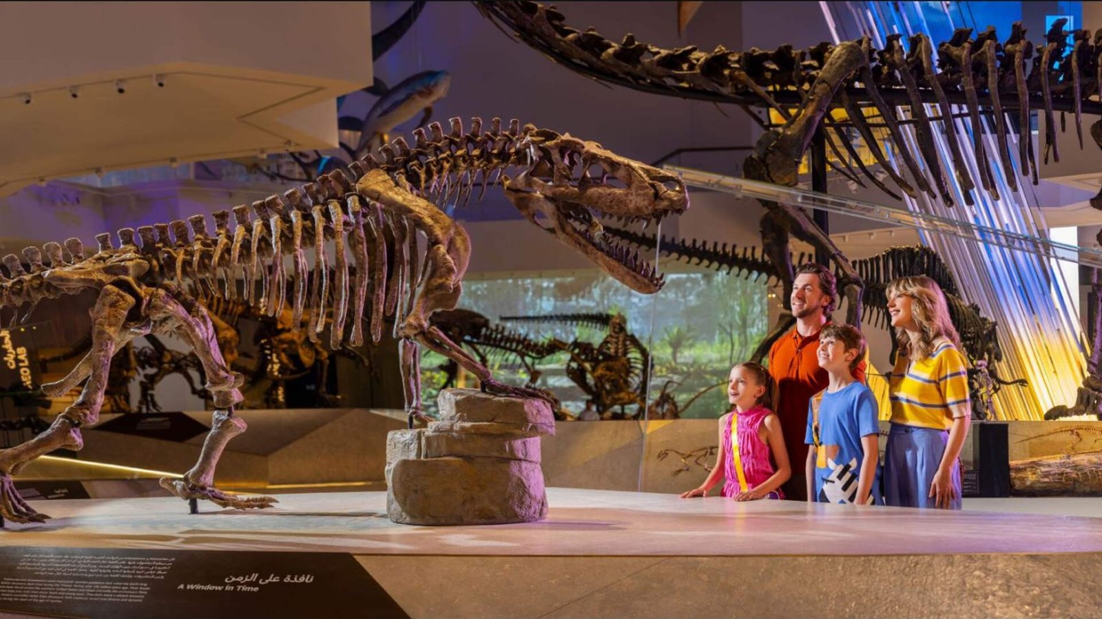 Natural History Museum Abu Dhabi - General Admission