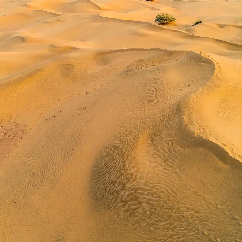 Dubai - Double Quad Bike