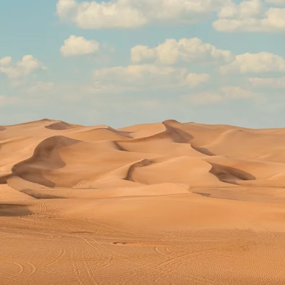 VIP Sharing Desert Safari Dubai + Single Quad Bike - Shared 4x4, Premium Camp Experience & BBQ Dinner